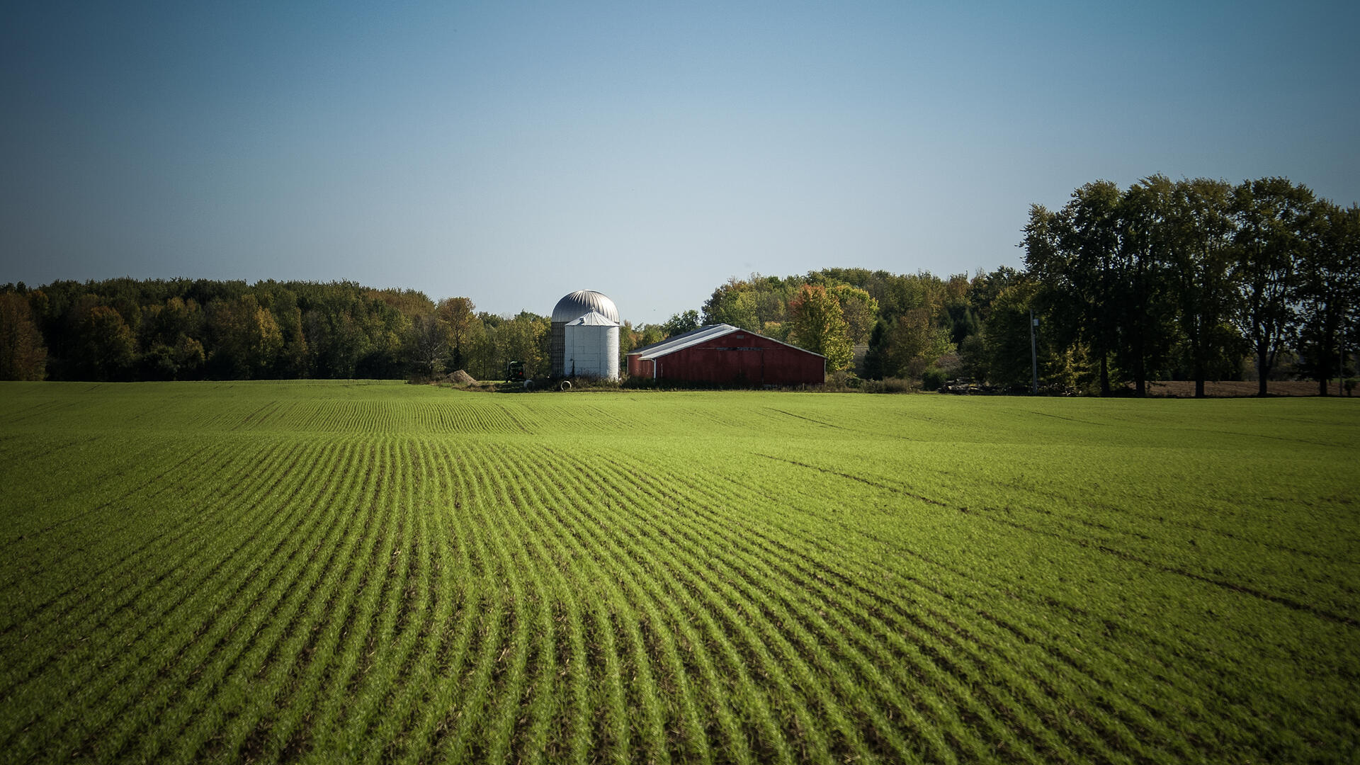 Farm field background